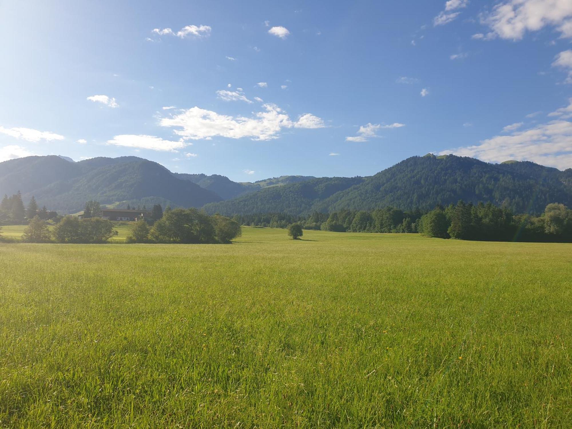 Appartementhaus Huettenberger Erpfendorf Exteriör bild