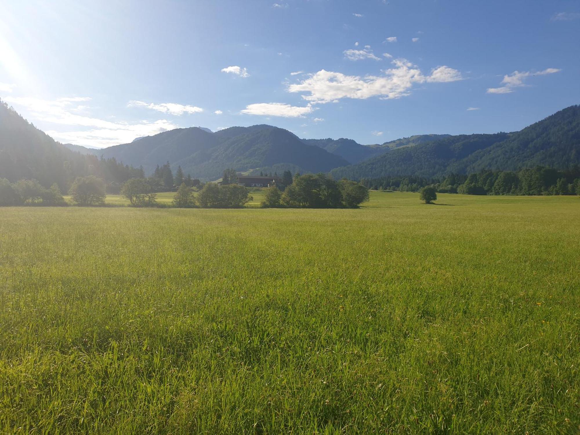 Appartementhaus Huettenberger Erpfendorf Exteriör bild
