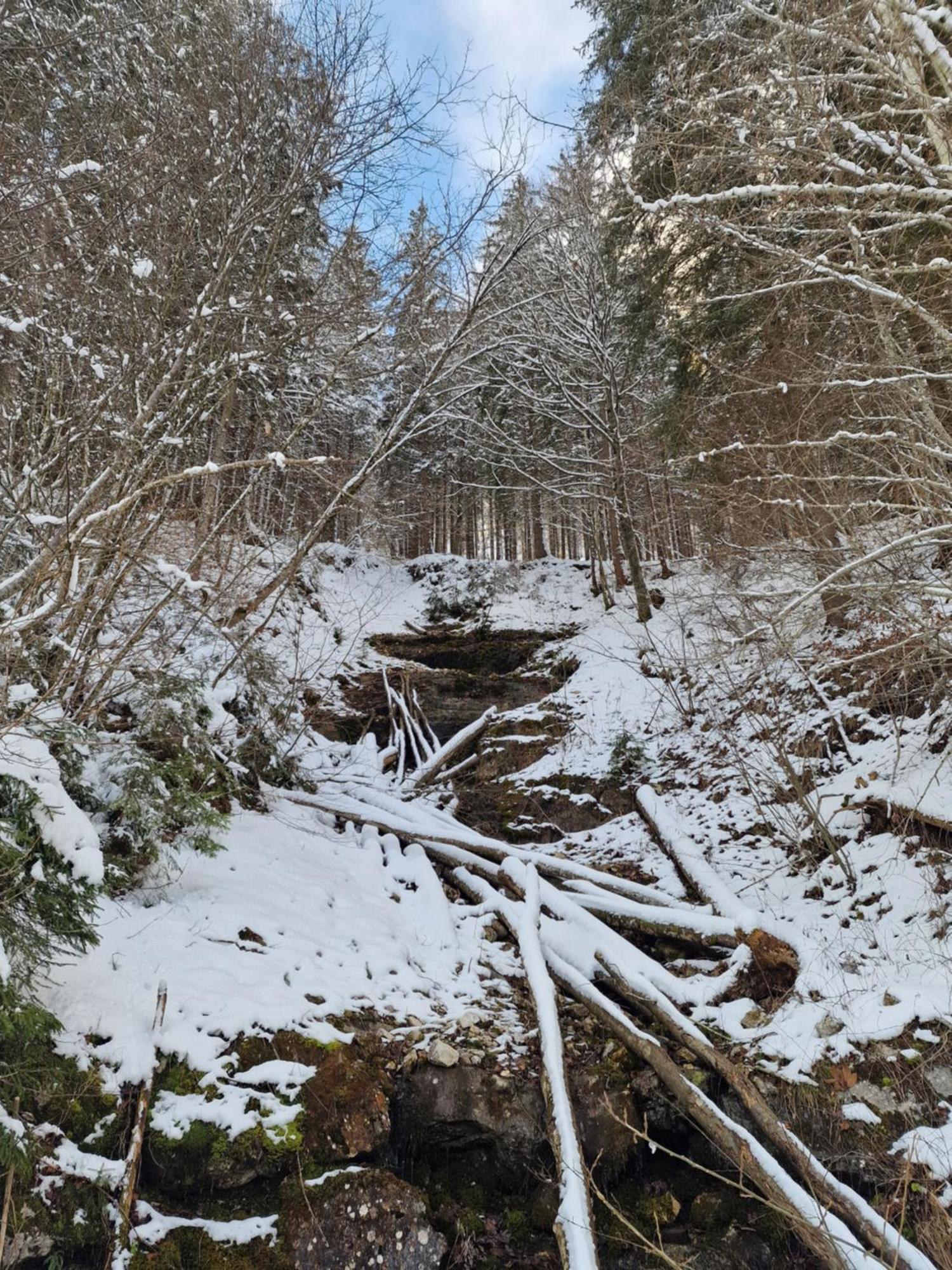 Appartementhaus Huettenberger Erpfendorf Exteriör bild