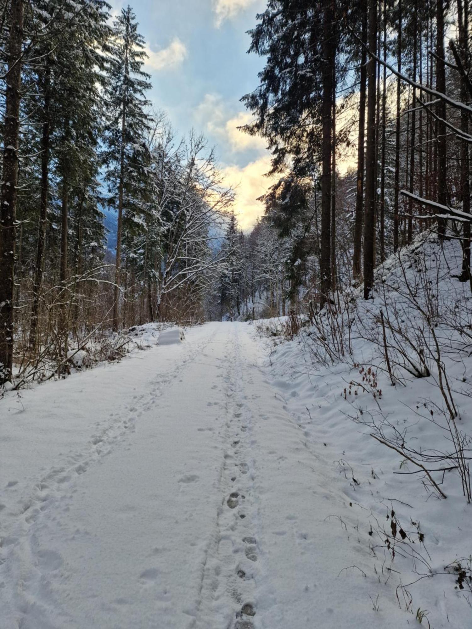 Appartementhaus Huettenberger Erpfendorf Exteriör bild
