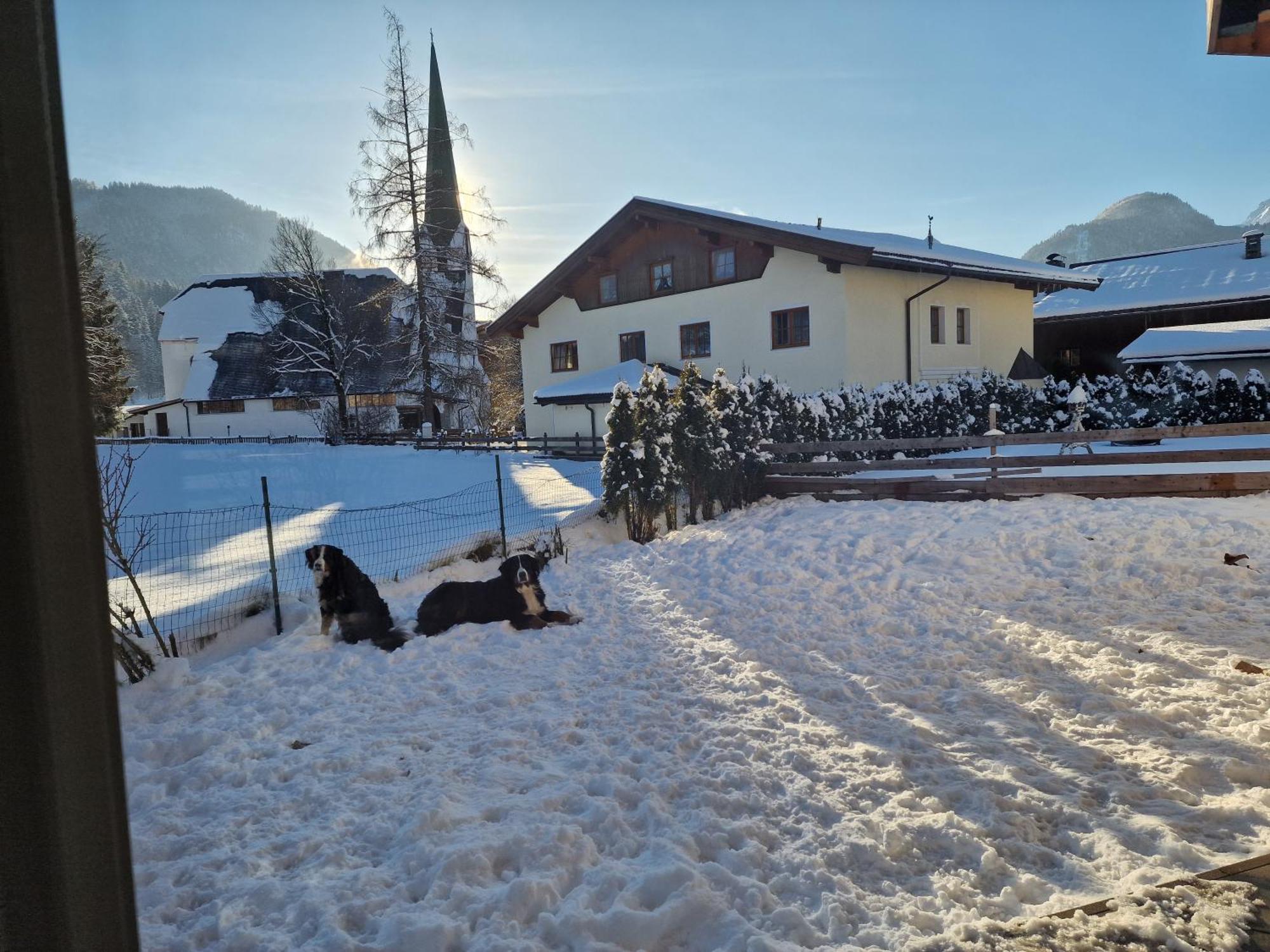 Appartementhaus Huettenberger Erpfendorf Exteriör bild